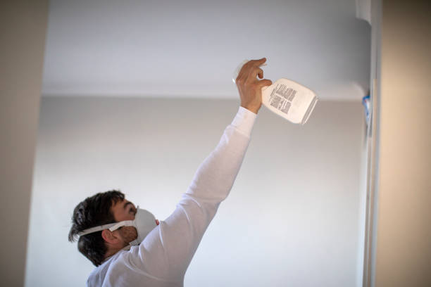 Best Same-Day Mold Removal  in South Woodstock, CT