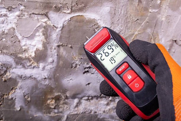 Office Mold Removal Services in South Woodstock, CT