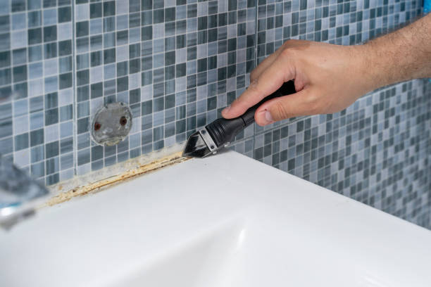 Best Mold Damage Repair  in South Woodstock, CT