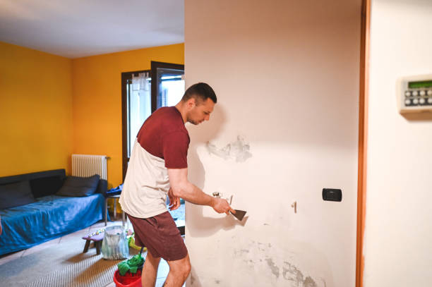Best Crawl Space Mold Removal  in South Woodstock, CT